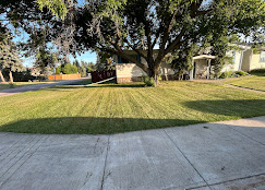 Well-maintained front yard with shade tree