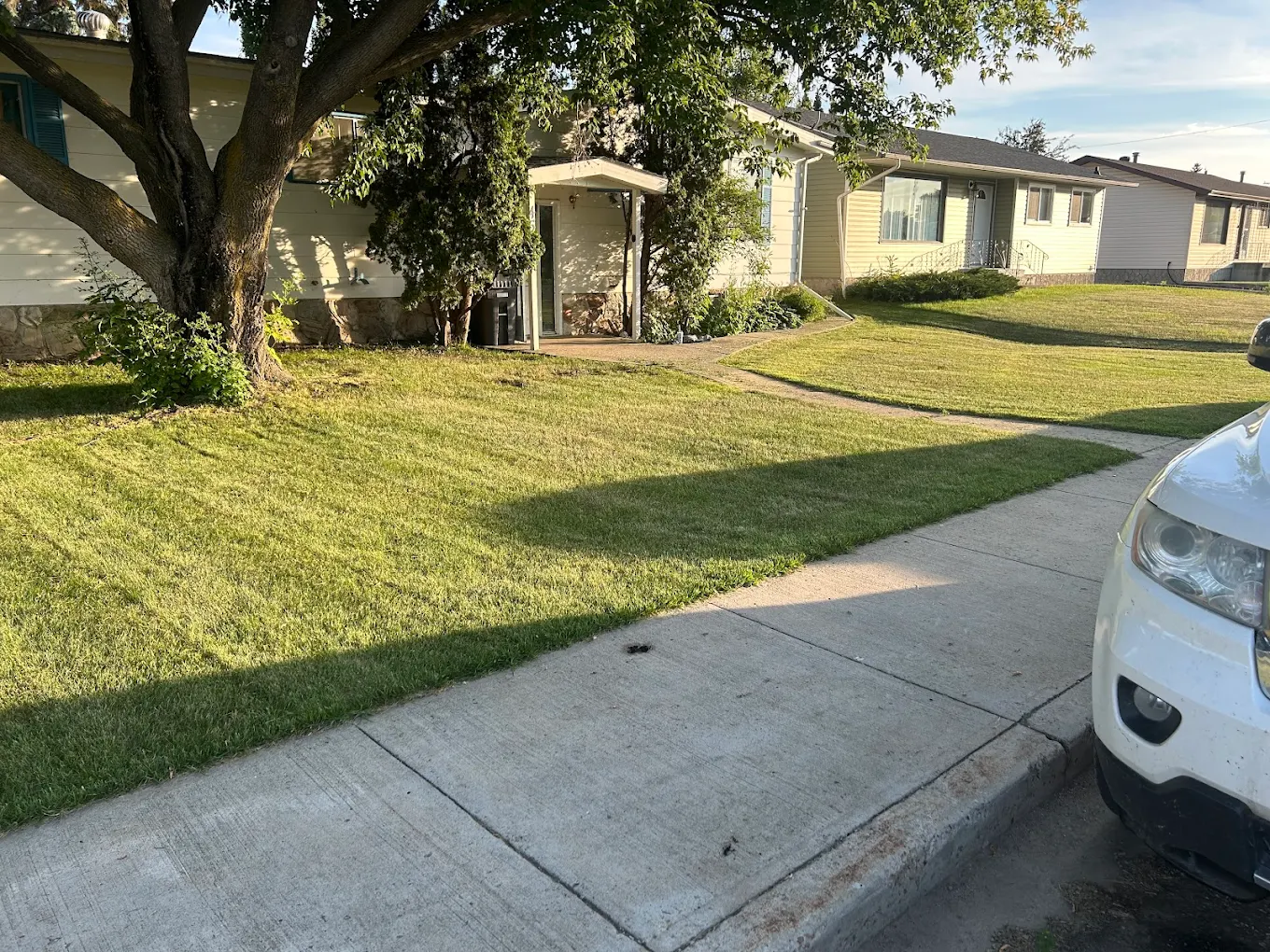 Tidy front yard along a residential sidewalk